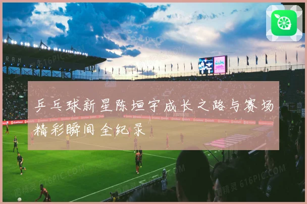 乒乓球新星陈垣宇成长之路与赛场精彩瞬间全纪录